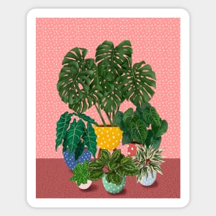 Colourful House Plants 3 Sticker